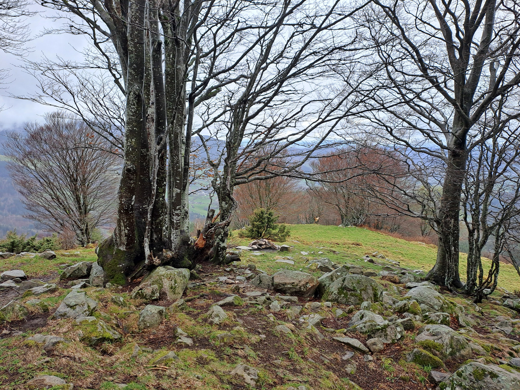 20230401150510 150509